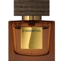 Fragrance >  Men Fragrances >  Fragrance For Men