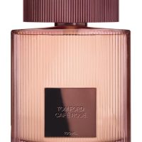 Fragrance >  Women Fragrances >  Fragrance For Women