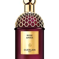 Fragrance >  Women Fragrances >  Fragrance For Women