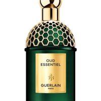 Fragrance >  Women Fragrances >  Fragrance For Women