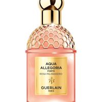 Fragrance >  Women Fragrances >  Fragrance For Women