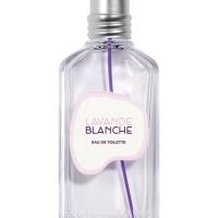 Fragrance >  Women Fragrances >  Fragrance For Women