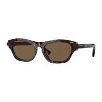 Accessories >  Sunglasses >  Mens Sunglasses