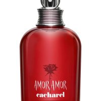 Fragrance >  Women Fragrances >  Fragrance For Women