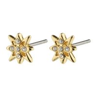 Accessories >  Jewellery >  Earrings