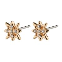 Accessories >  Jewellery >  Earrings