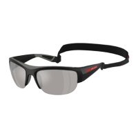 Accessories >  Sunglasses >  Mens Sunglasses