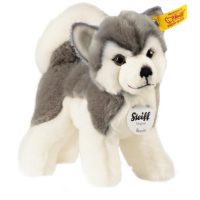 Toys >  Soft Toys