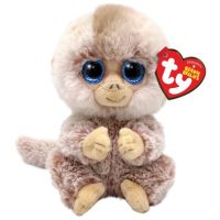 Toys >  Soft Toys