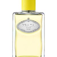 Fragrance >  Women Fragrances >  Fragrance For Women